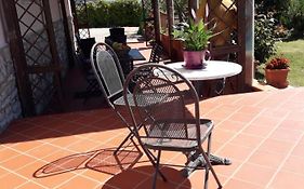 Il Giardino Degli Ulivi Castiglione Del Lago